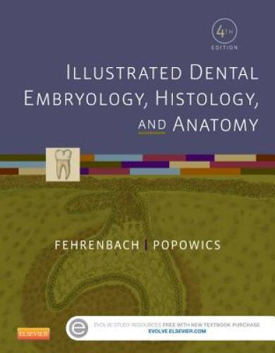 Illustrated Dental Embryology, Histology, and Anatomy, 4e – Paperback – GOOD