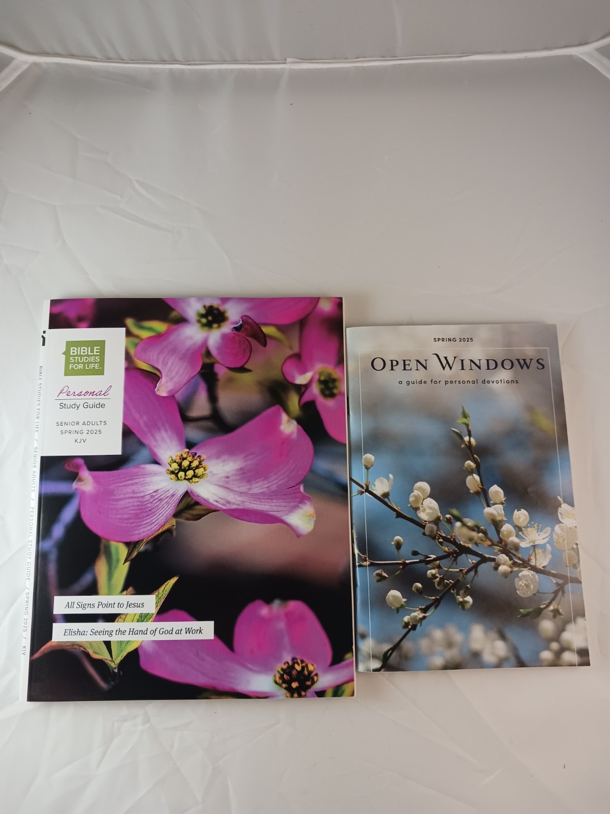 Open Windows Devotions Spring 2025 & Bible Studies For Life Study Guide, 2 Books
