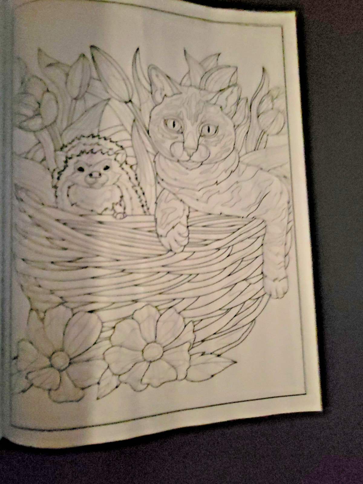 Cat Coloring -32 Spring-Inspired Designs-Relaxing & Inspirational Adult Coloring