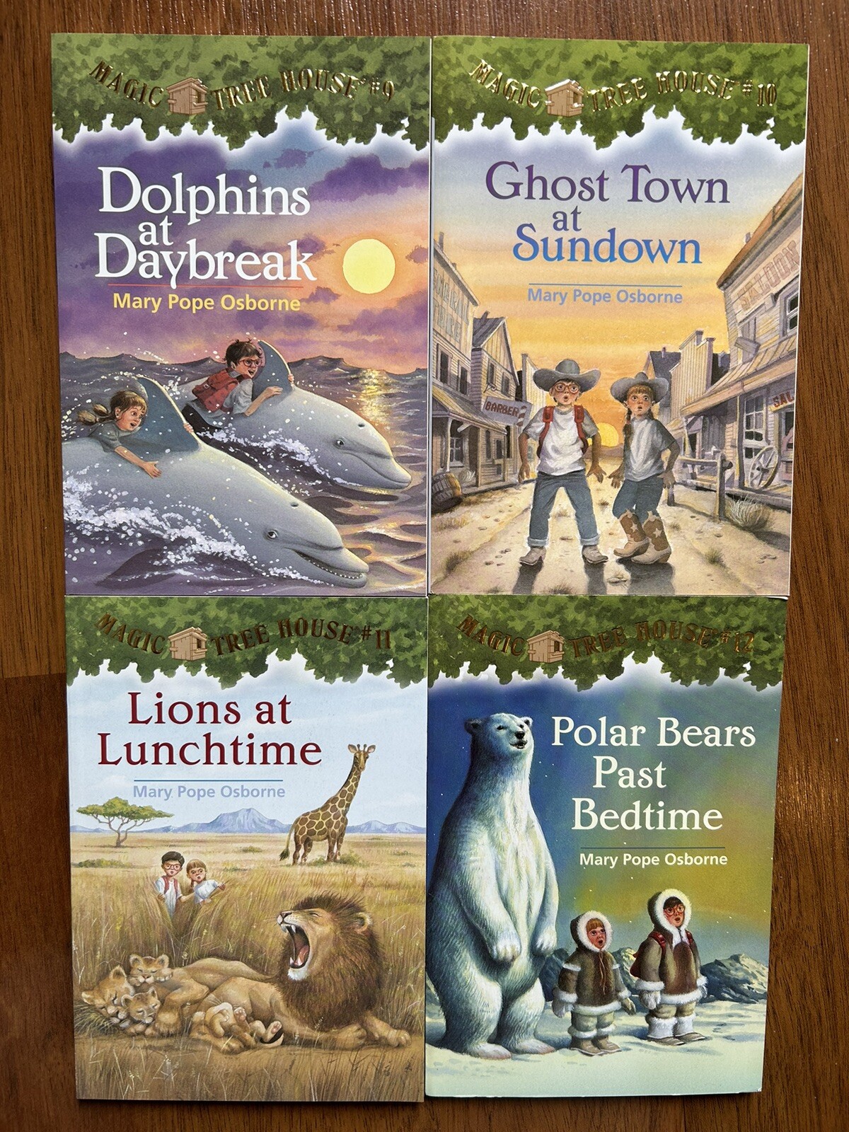 Magic Tree House (R) Ser.: Magic Tree House Volumes 9-12 Boxed Set by Mary Pope