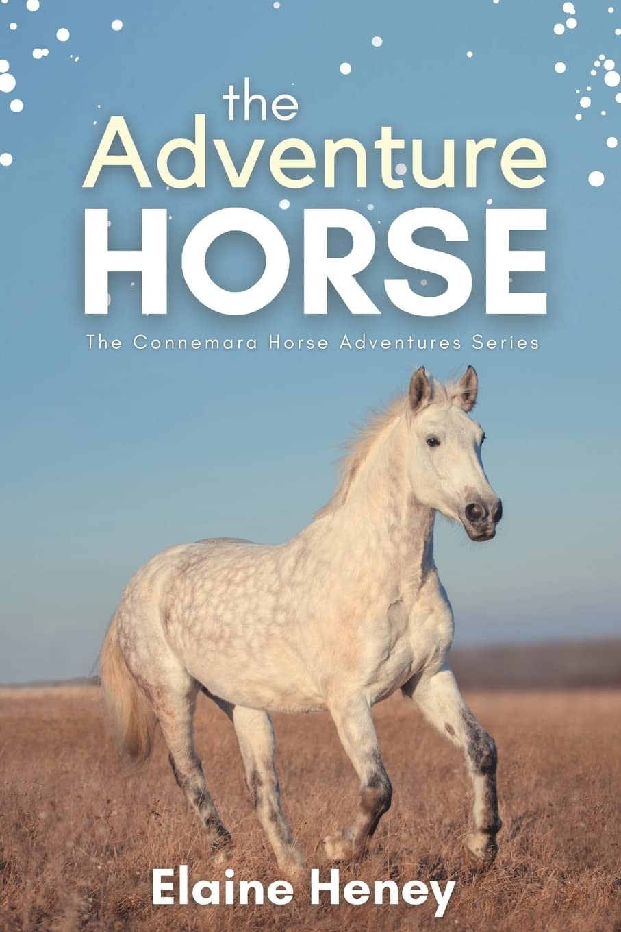 The Adventure Horse – Book 5 in the Connemara Horse Adventure Series for Kid…