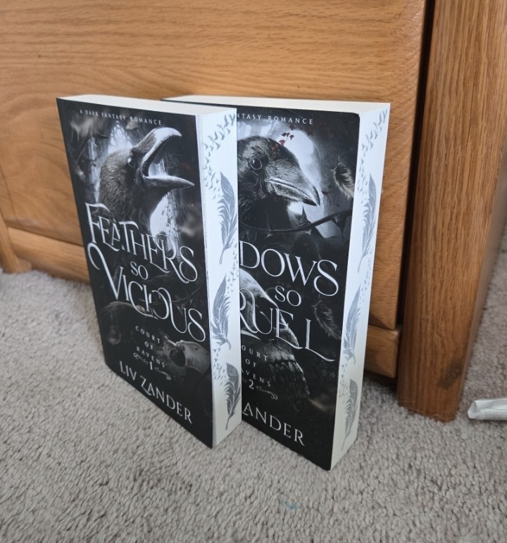 Court Of Ravens Dark Fantasy Romance Feathers So Vicious Shadows So Cruel Indie