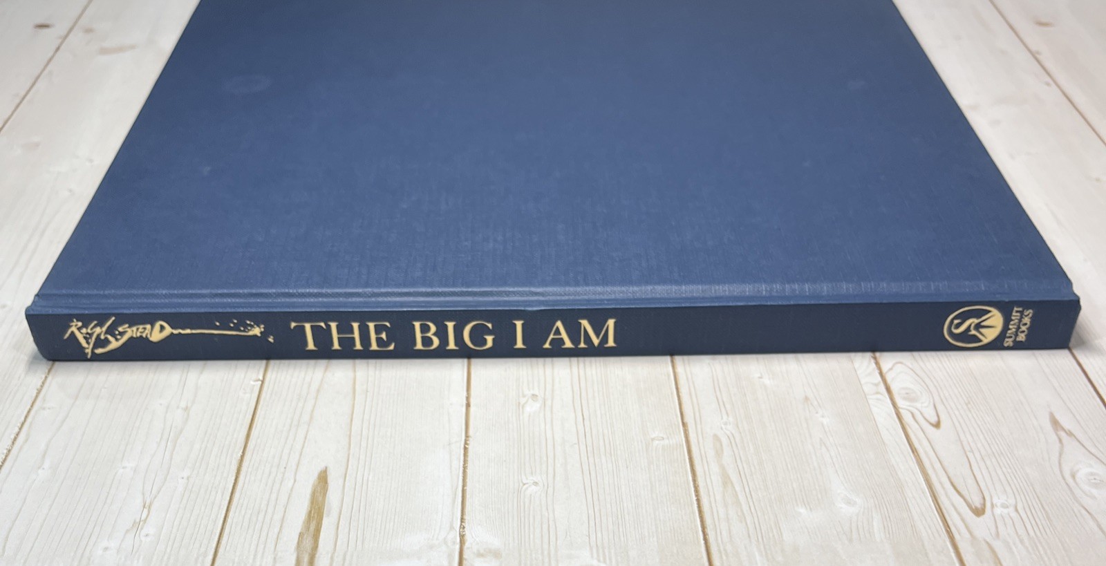The Big I Am By Ralph Steadman – 1988 First Edition Summit Hardcover w/ DJ