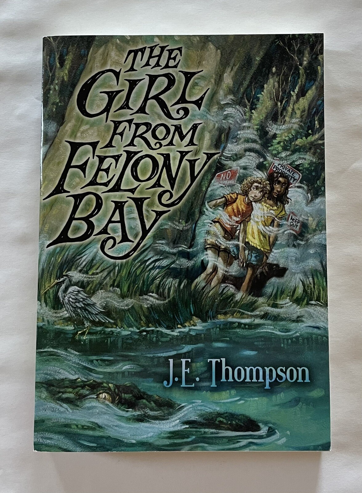 The Girl From Felony Bay J E Thompson Paperback Felony Bay Mysteries Scholastic