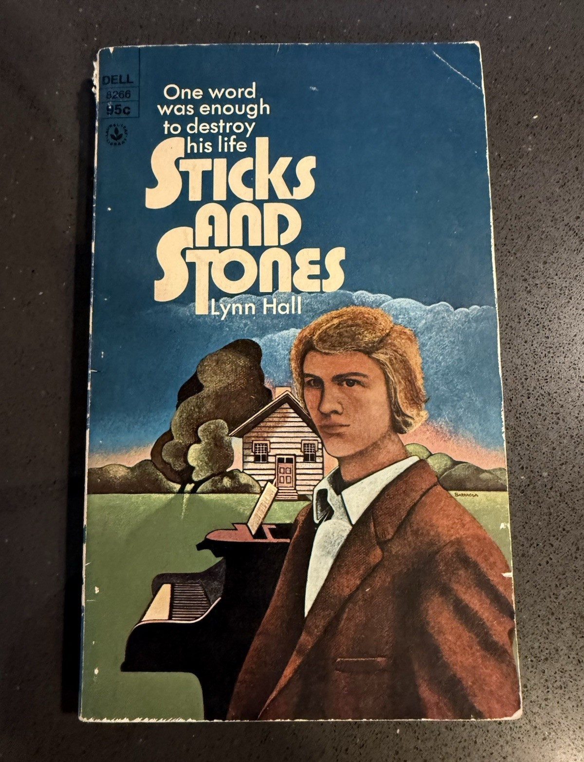 STICKS AND STONES Lynn Hall Vintage 1st LGBT Gay YA Novel 1972 Judy Blume Dell