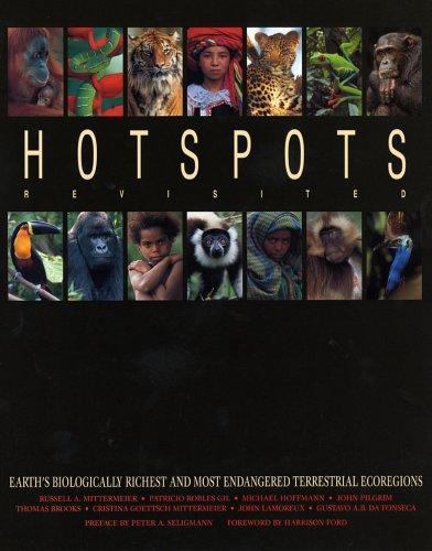 Hotspots Revisited (HC, 2005) 1st English Edition, LN