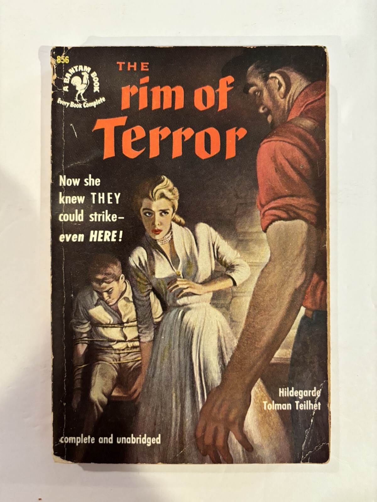 The Rim of Terror 1950 Hildegarde Tolman Teilhet Paperback Bantam Books #856-1st