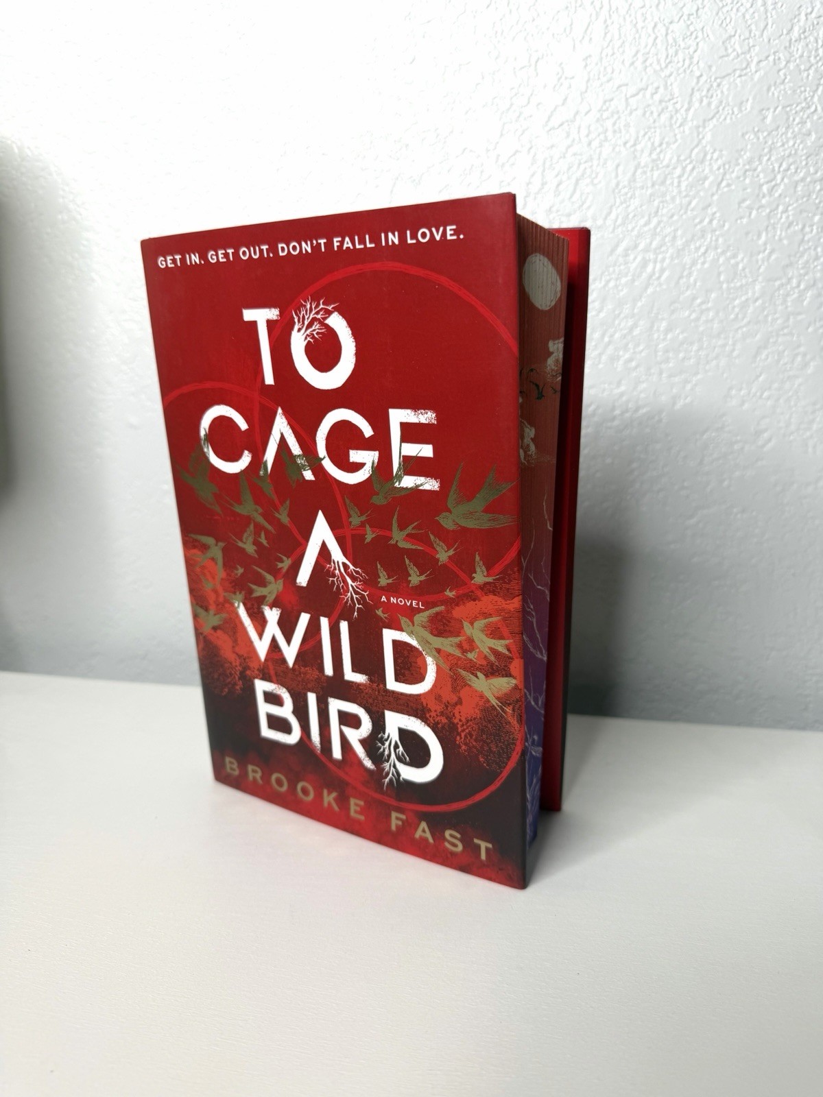To Cage a Wild Bird (Deluxe Limited Edition) by Brooke Fast – Hardcover – NEW