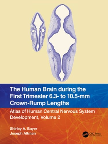 The Human Brain During the First Trimester 6.3- To 10.5-MM Crown-Rump Lengths: