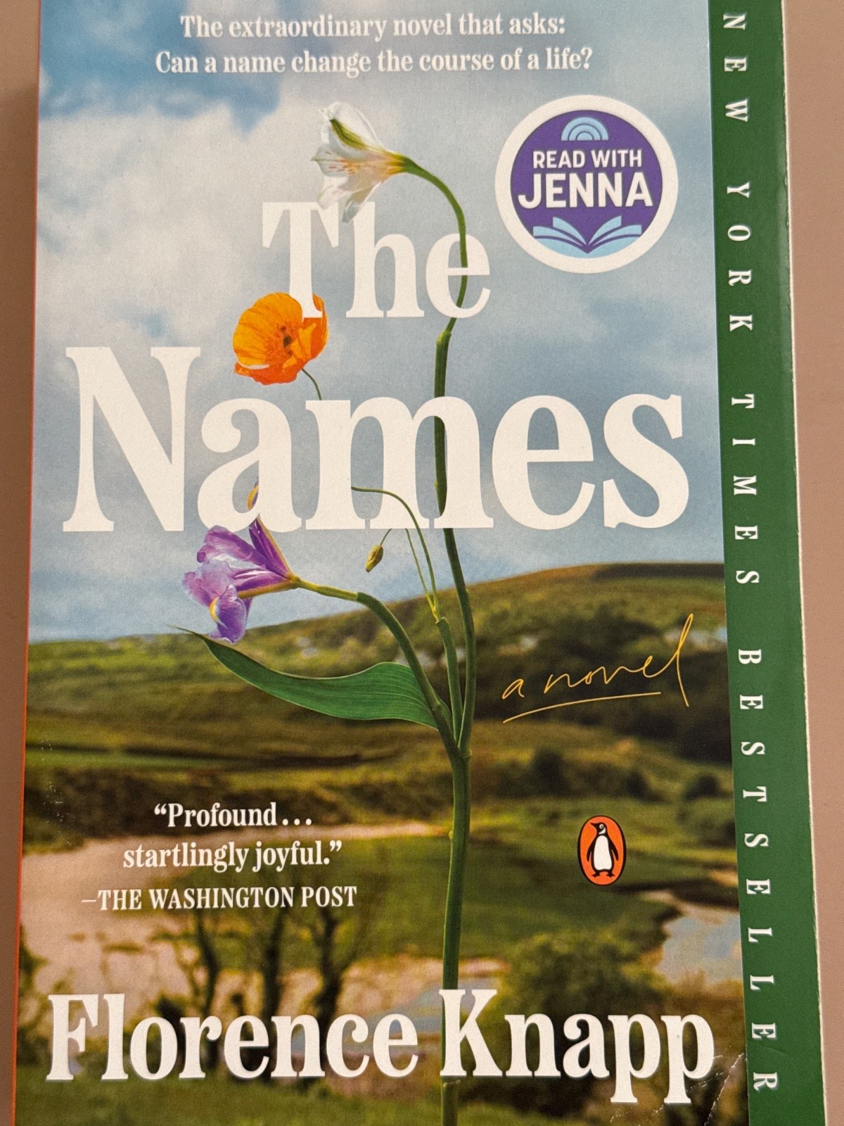 Names: a Read with Jenna Pick : A Novel by Florence Knapp (2026, Trade…