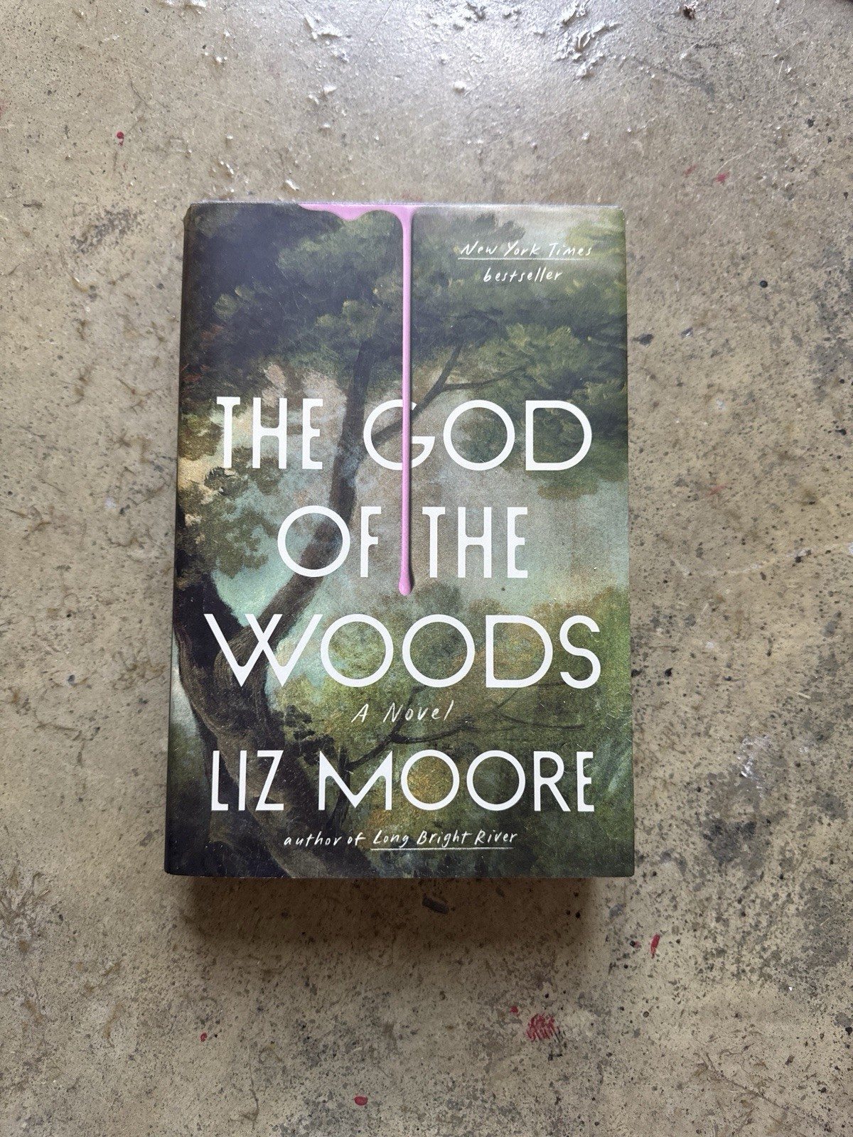 The God of The Woods by Liz Moore Hardcover Book
