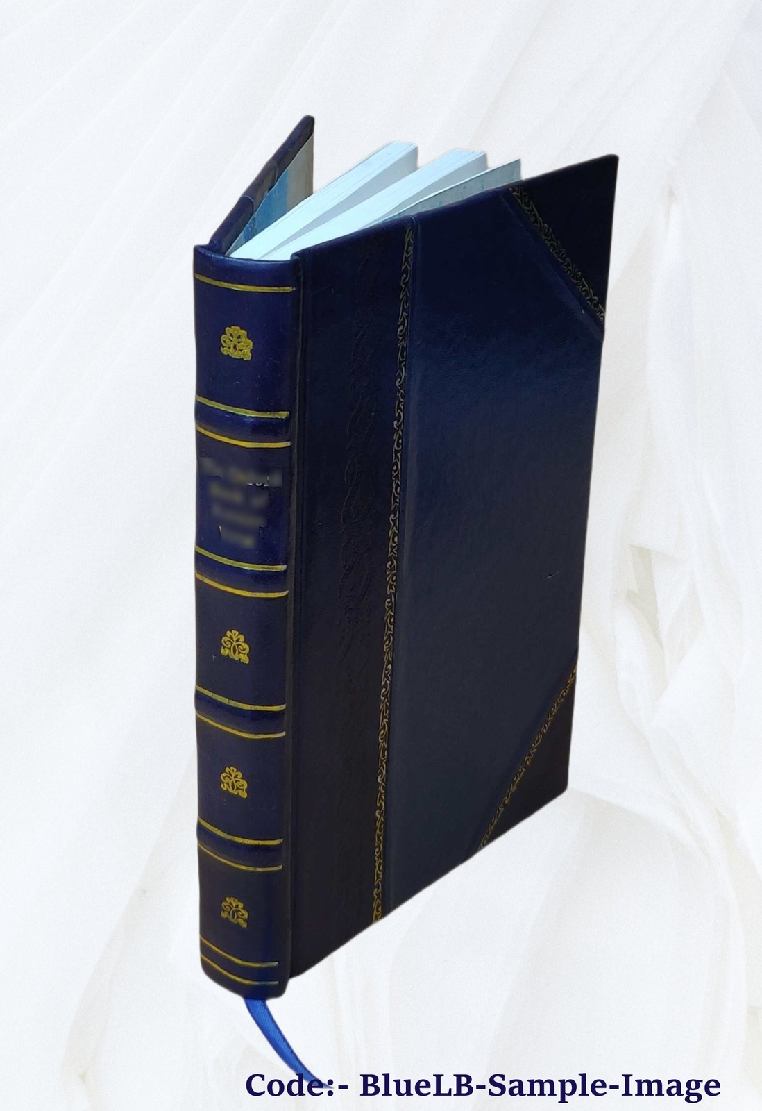 The Ethiopic version of the book of Enoch 1906 by R. H.Charles [Leather Bound]