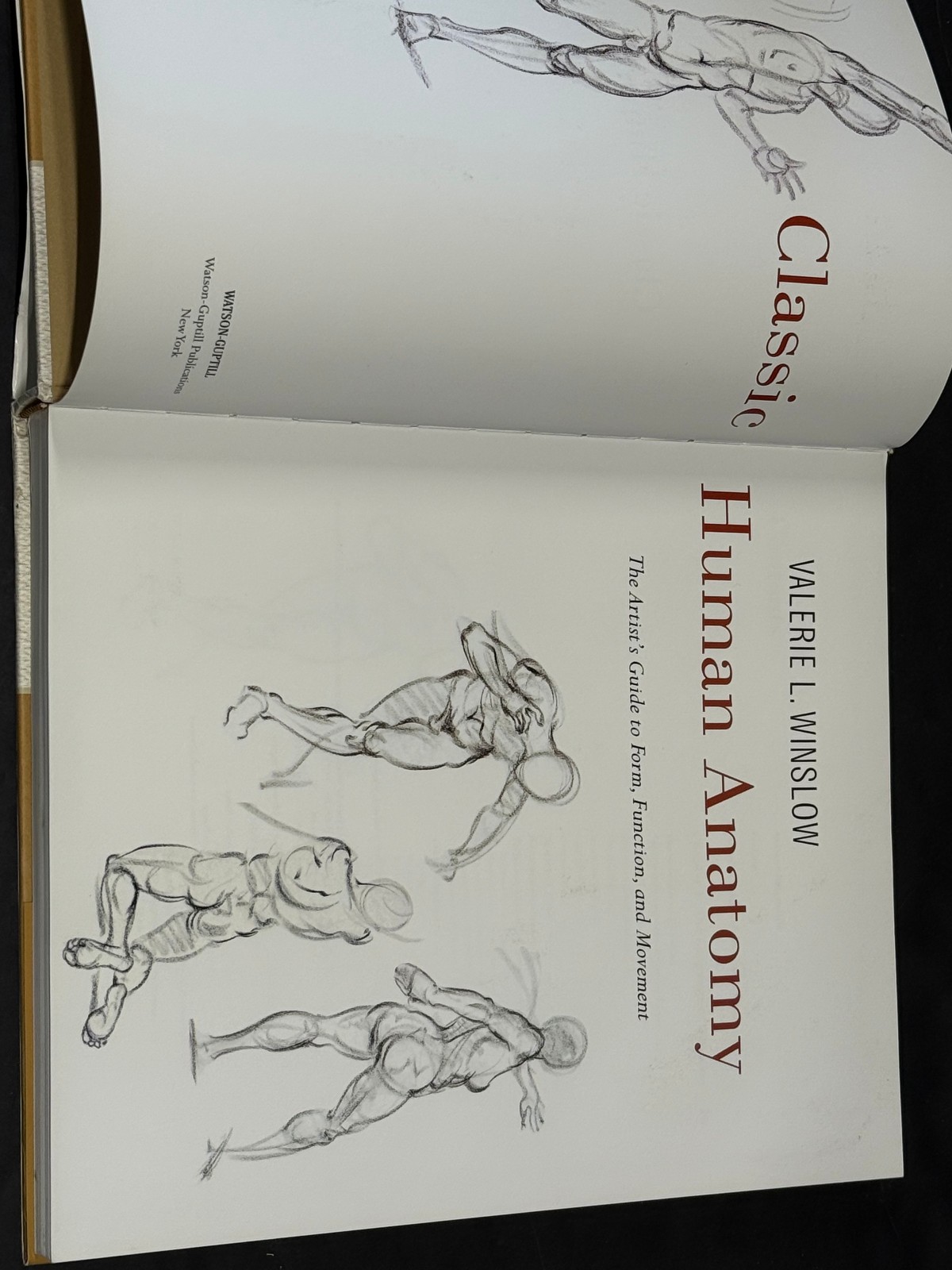 Classic Human Anatomy Valerie L. Winslow Hardcover 2008 Art Reference Book
