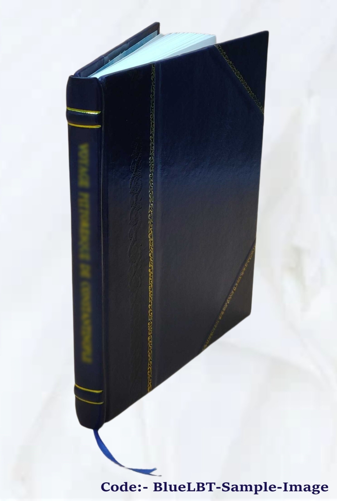 The Ancient Village 1916 By Larison Cornelius Wilson – [Leather Bound]