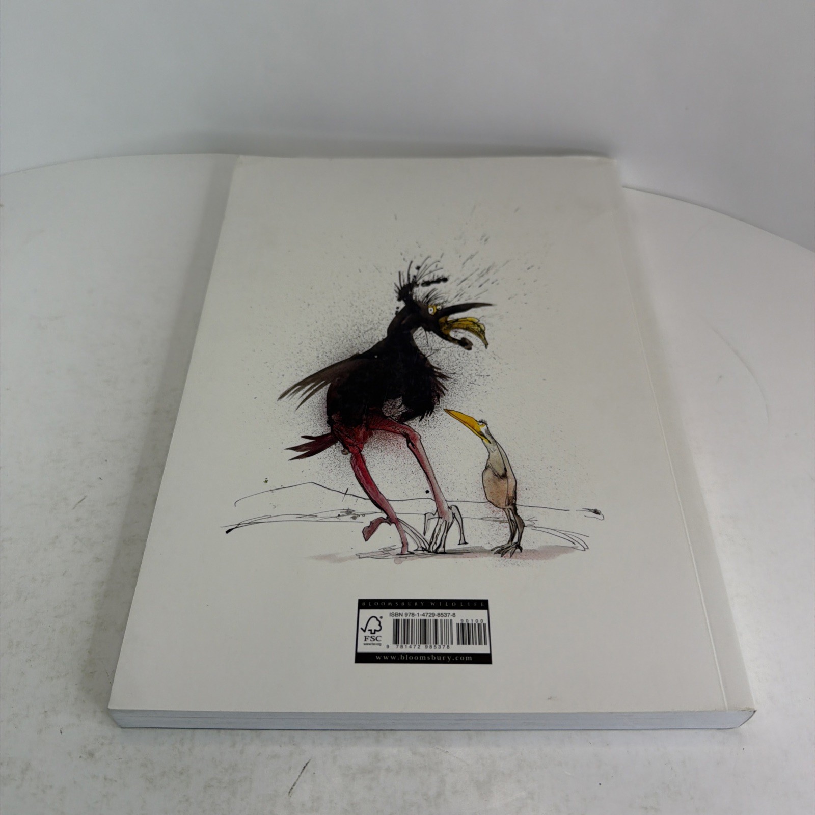 Extinct Boids by Ceri Levy and Ralph Steadman 2020 Bloomsbury Wildlife Trade PB