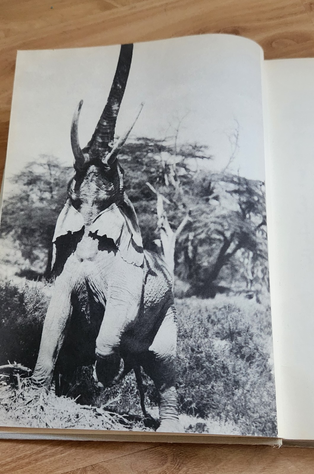 The End of the Game Peter Beard 1st Edition HC Dustjacket ICP Insert Read Detail
