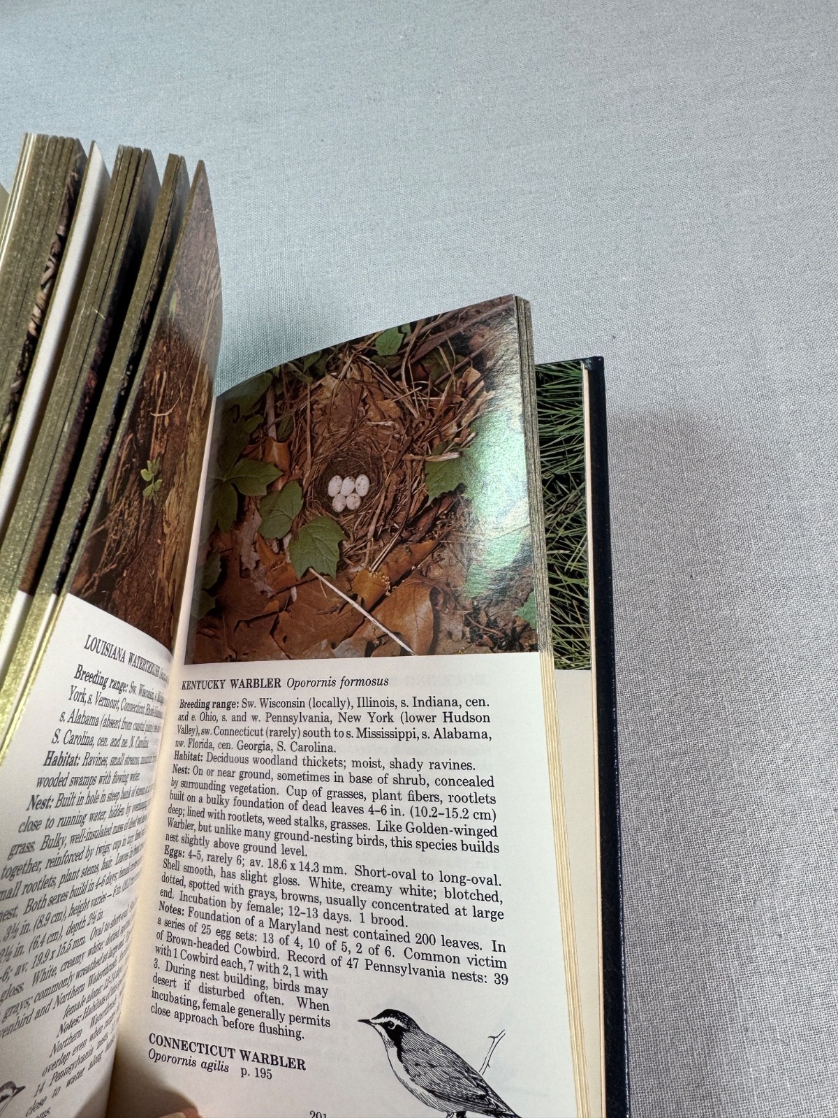 Roger Peterson Field Guide Eastern Birds Nests of the Mississippi River 257 pgs