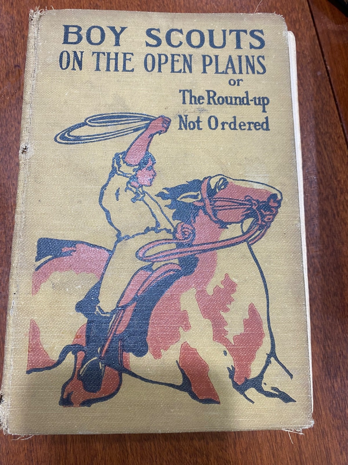 BOY SCOUTS on the OPEN PLAINS or The Rounded-Up Not Ordered by G Harvey Ralphson