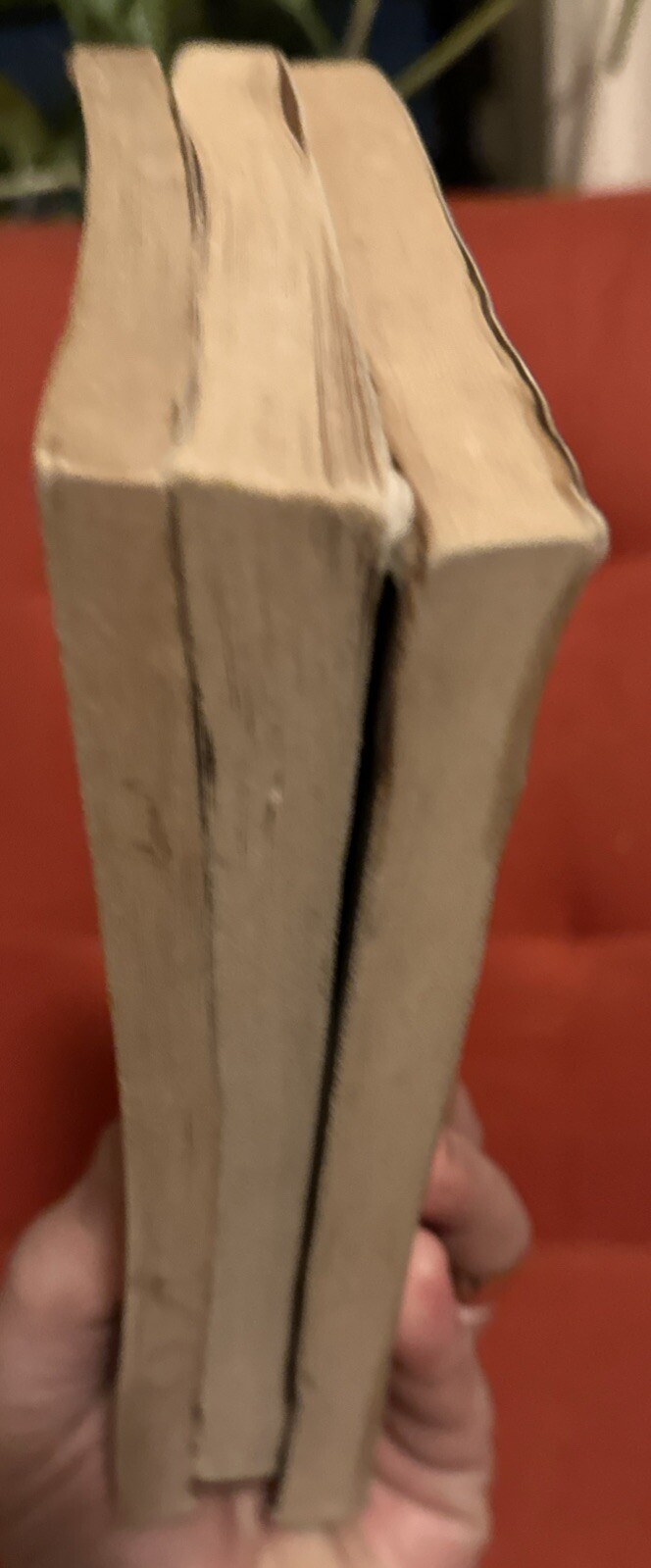 1920’s 3x PB Book Lot: Virginia Woolf; F. Scott Fitzgerald & Twenties, Mowry Ed.