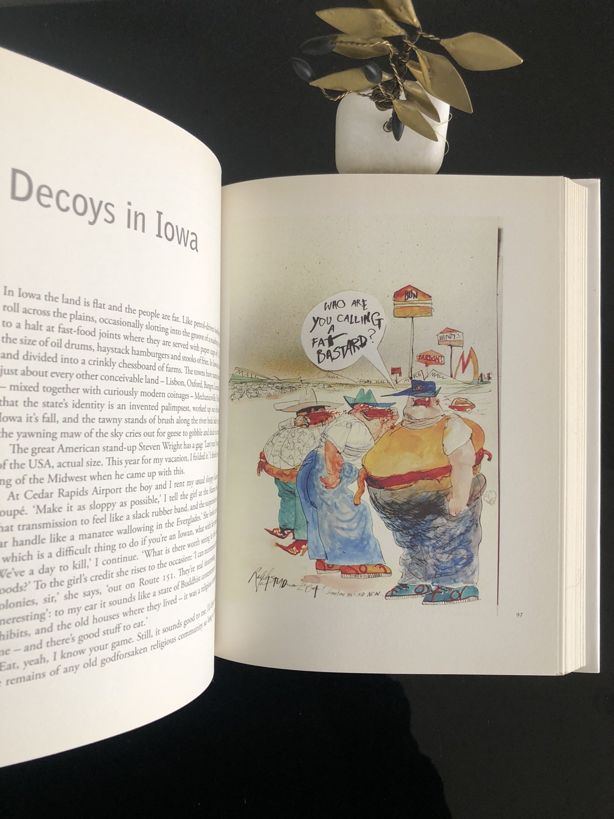 Will Self/Ralph Steadman Psycho Geography Bloomsbury 2007 First Ed/F.Print HC LN