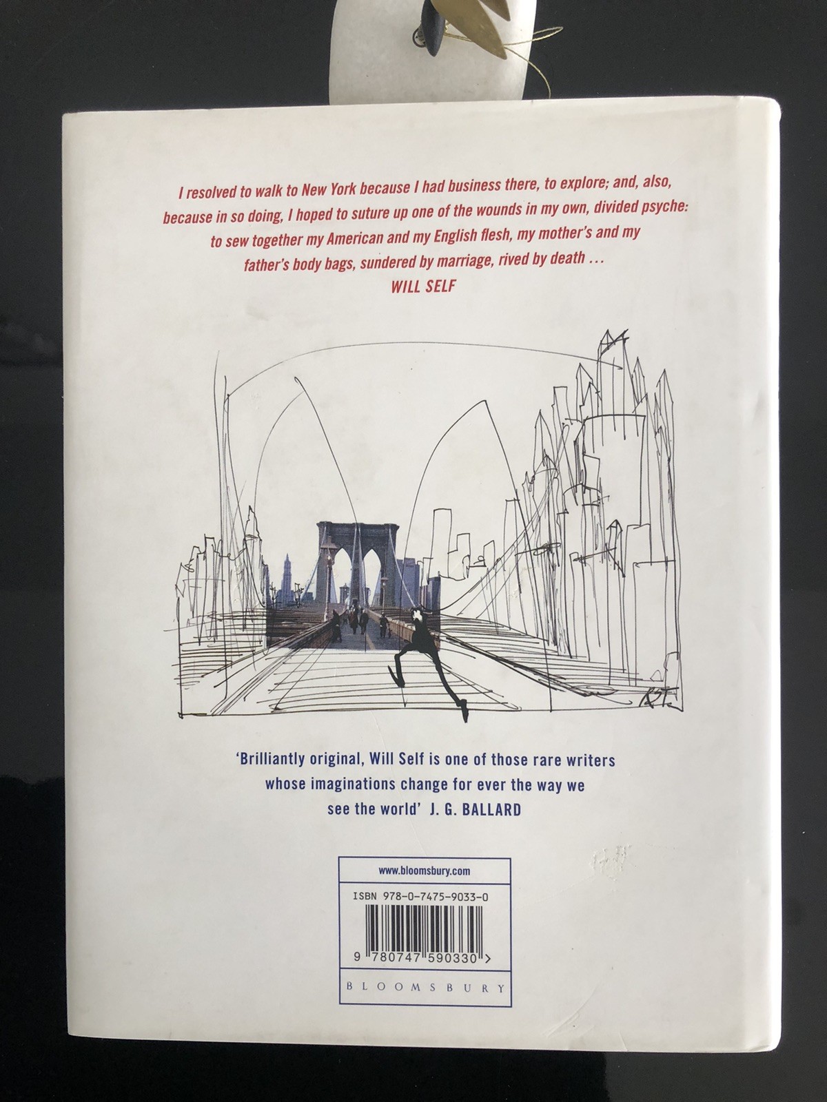 Will Self/Ralph Steadman Psycho Geography Bloomsbury 2007 First Ed/F.Print HC LN