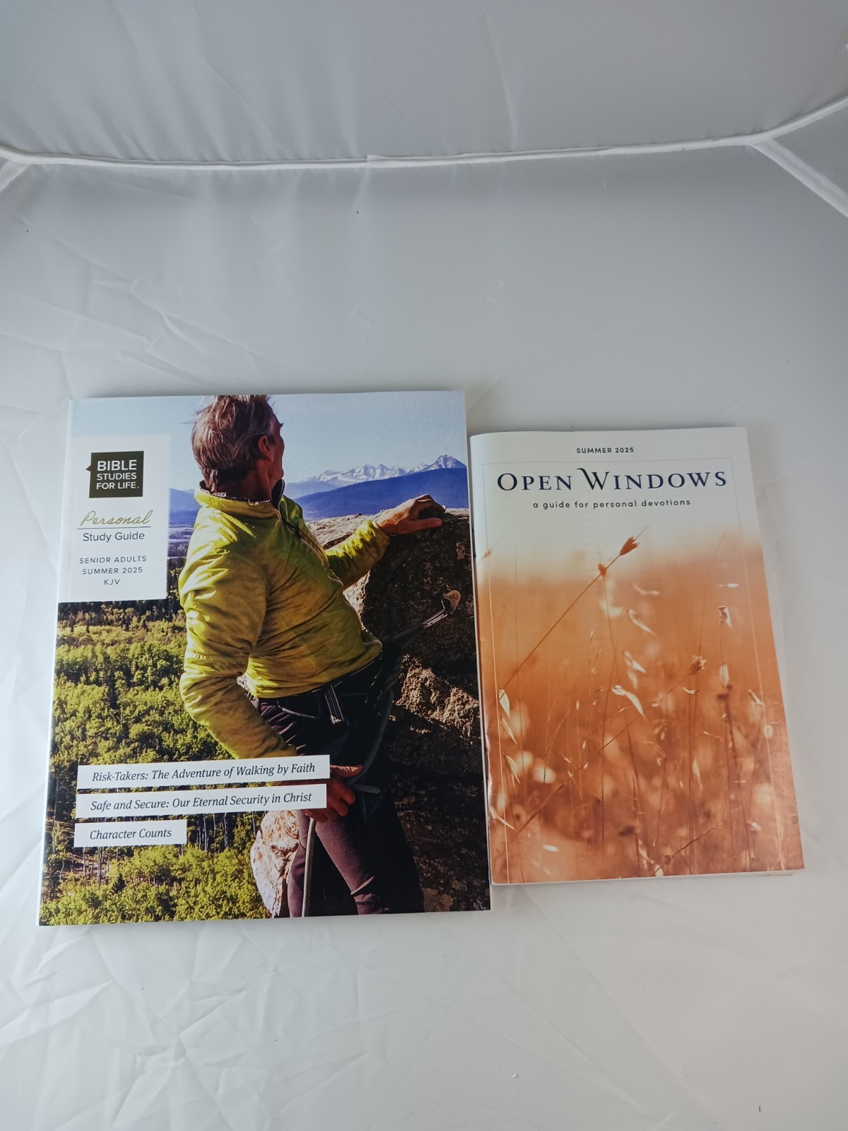 Open Windows Devotions Summer 2025 & Bible Studies For Life Study Guide, 2 Books