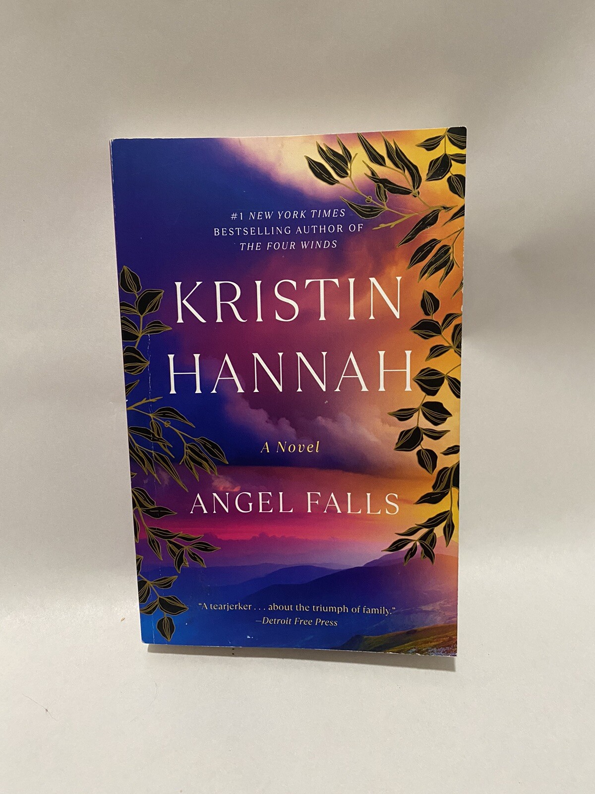 Angel Falls: A Novel by Kristin Hannah (English) Paperback Book