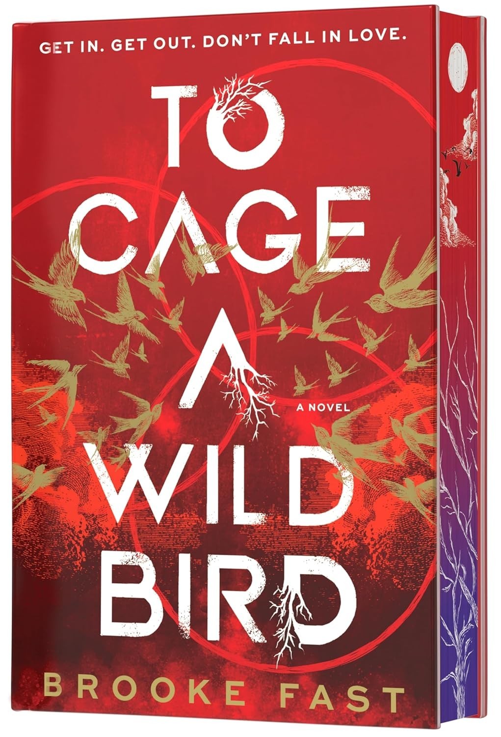 To Cage a Wild Bird (Deluxe Limited Edition) : A Novel by Brooke Fast (2026,…