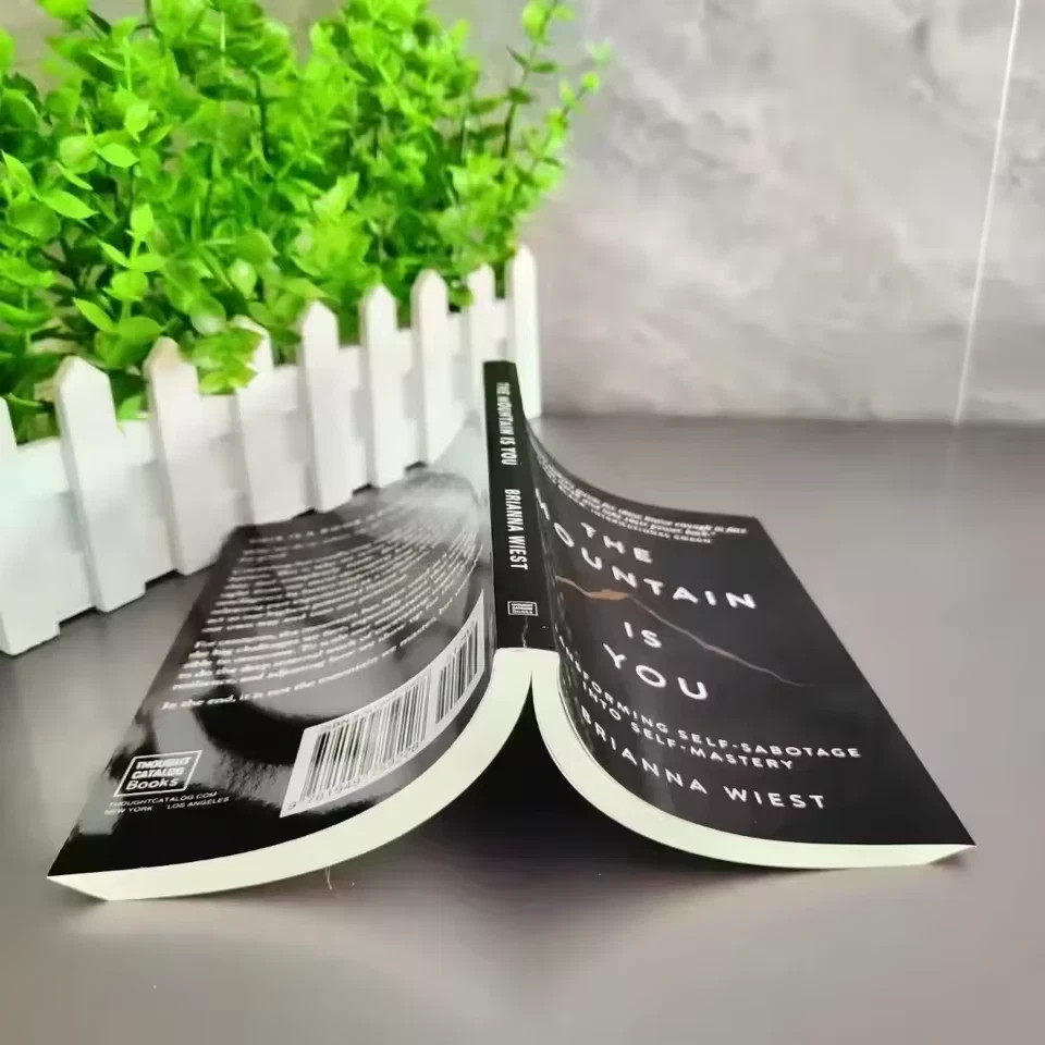 The Mountain is you by Brianna Wiest Paperback Book, Free Shipping