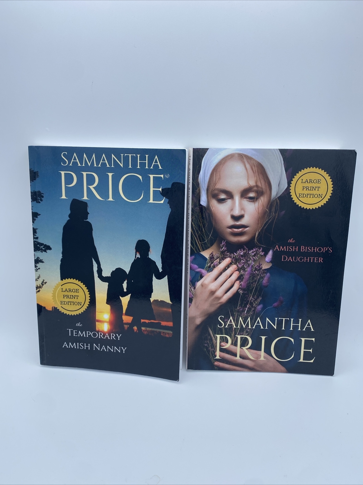 The Temporary Amish Nanny & The Amish Bishops Daughter Large Print books