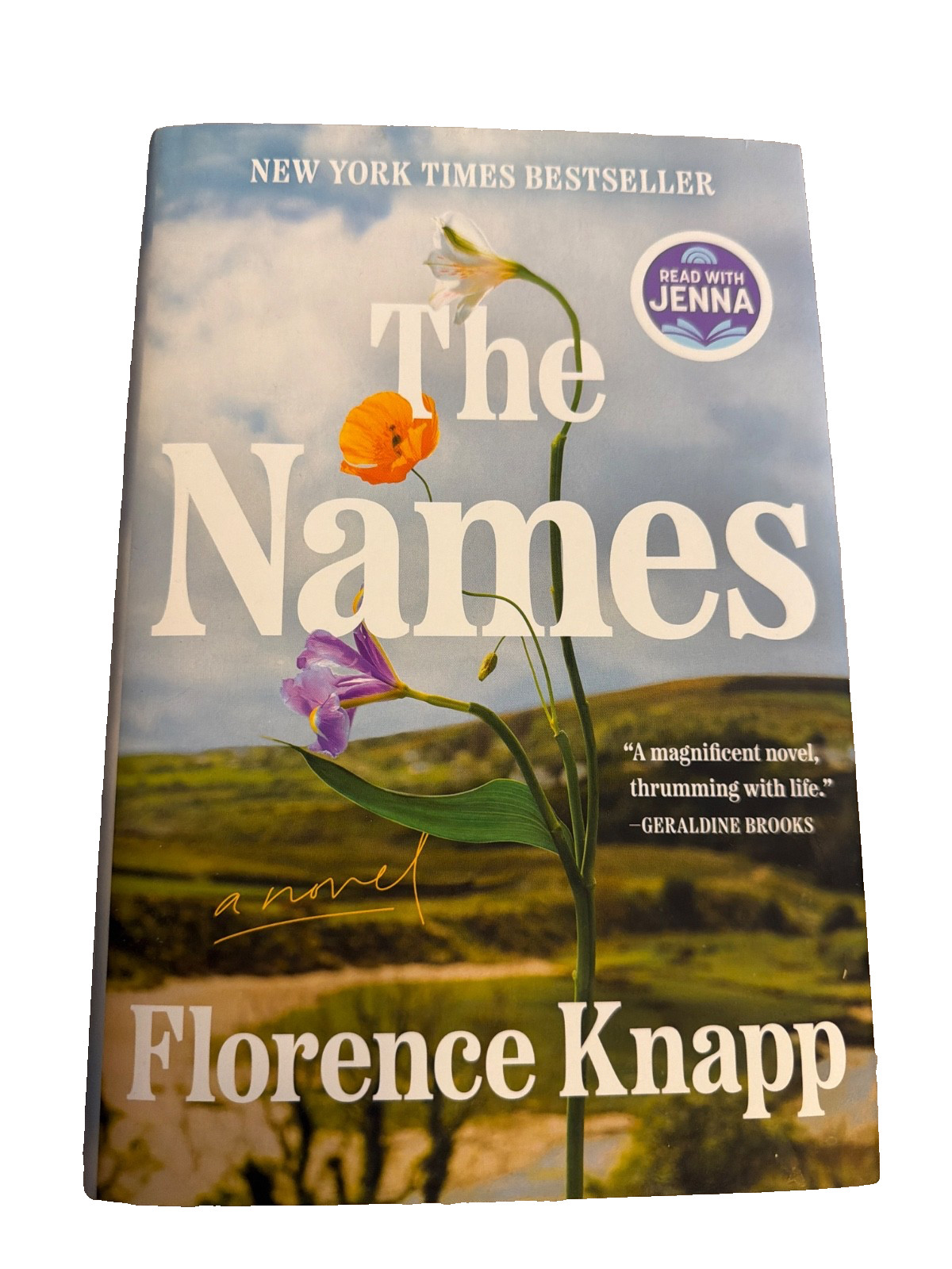 Names: a Read with Jenna Pick : A Novel by Florence Knapp (2025, Hardcover)