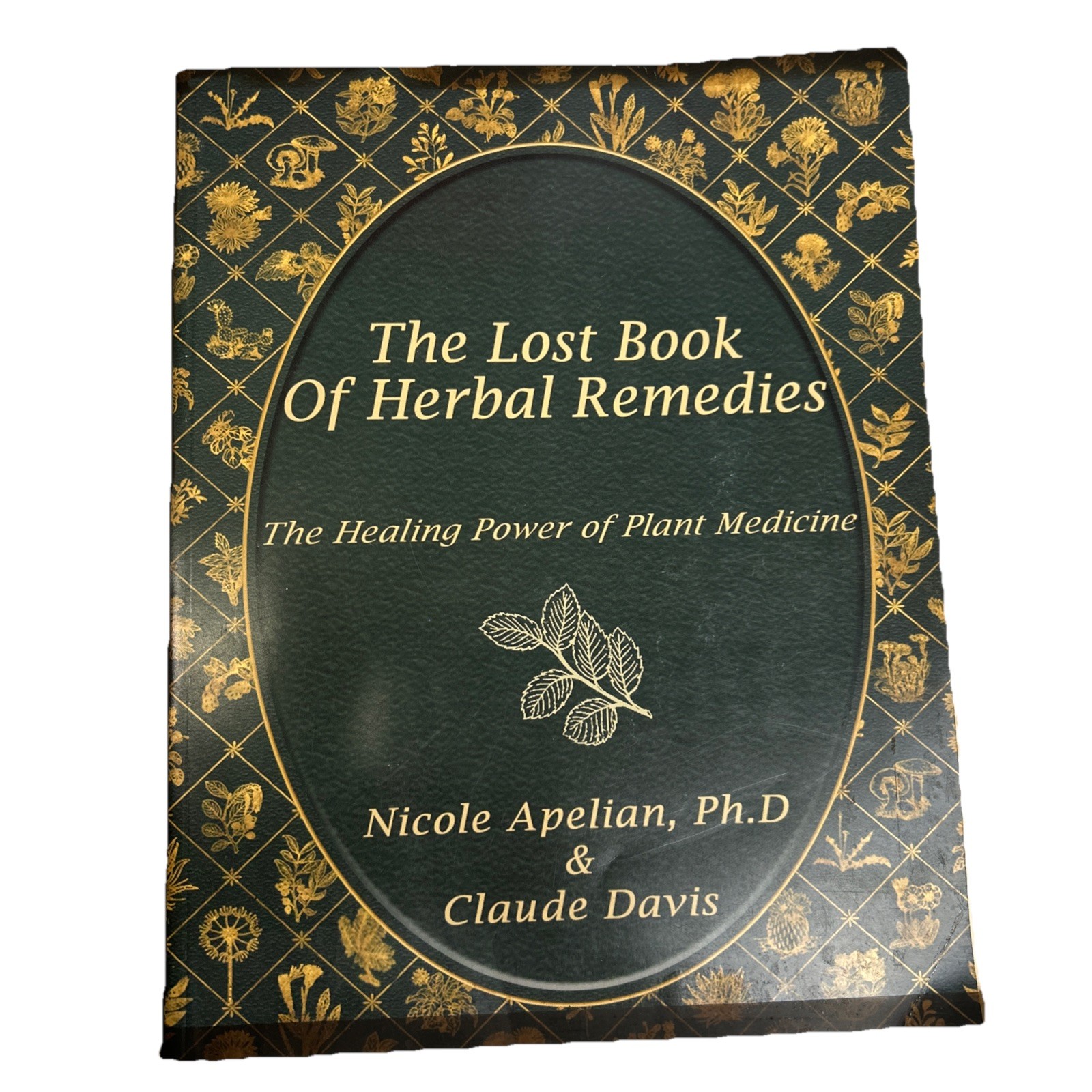 The Lost Book of Herbal Remedies by Davis & Apelian 2020 Paperback