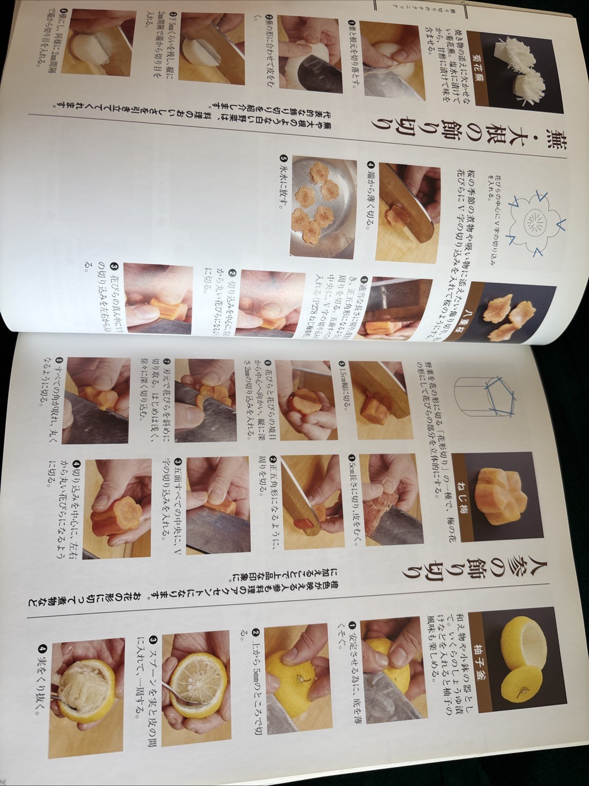 The Most Helpful Kitchen Knife Textbook – Japanese Cuisine – 141 Recipes – Japan