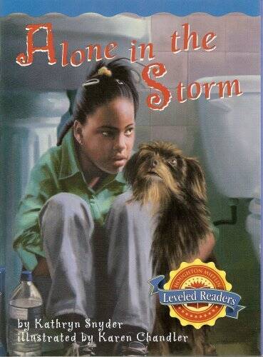 Alone in the Storm (Houghton Mifflin Leveled Readers, Book 511) – GOOD