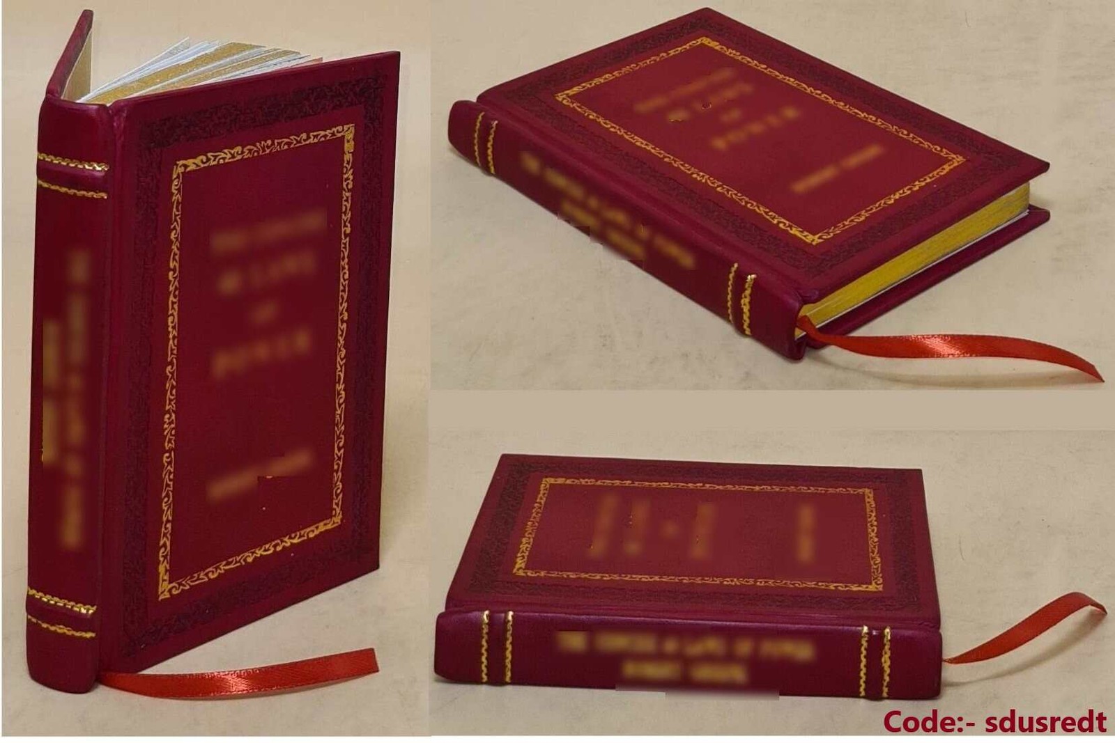 The Inborn Absolute: The Artwork of Robert Ryan By Ryan [Premium Leather Bound]