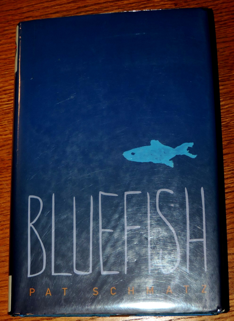 Bluefish – Hardcover By Schmatz, Pat – VERY GOOD 226 pages