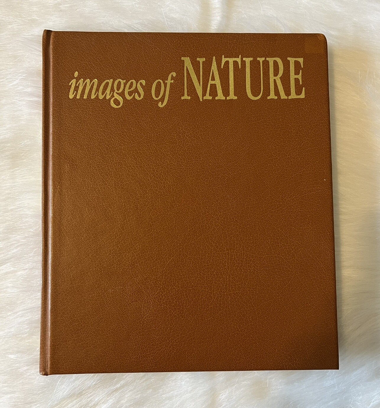 Rare -Special Edition 390/1000: Images of Nature – Signed by Thomas D. Mangelsen