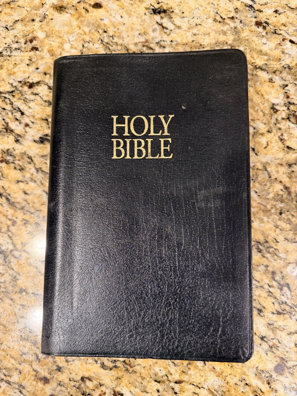 Holy Bible KJV Giant Print Center Column Ref Edition Leather Cover Nelson 895