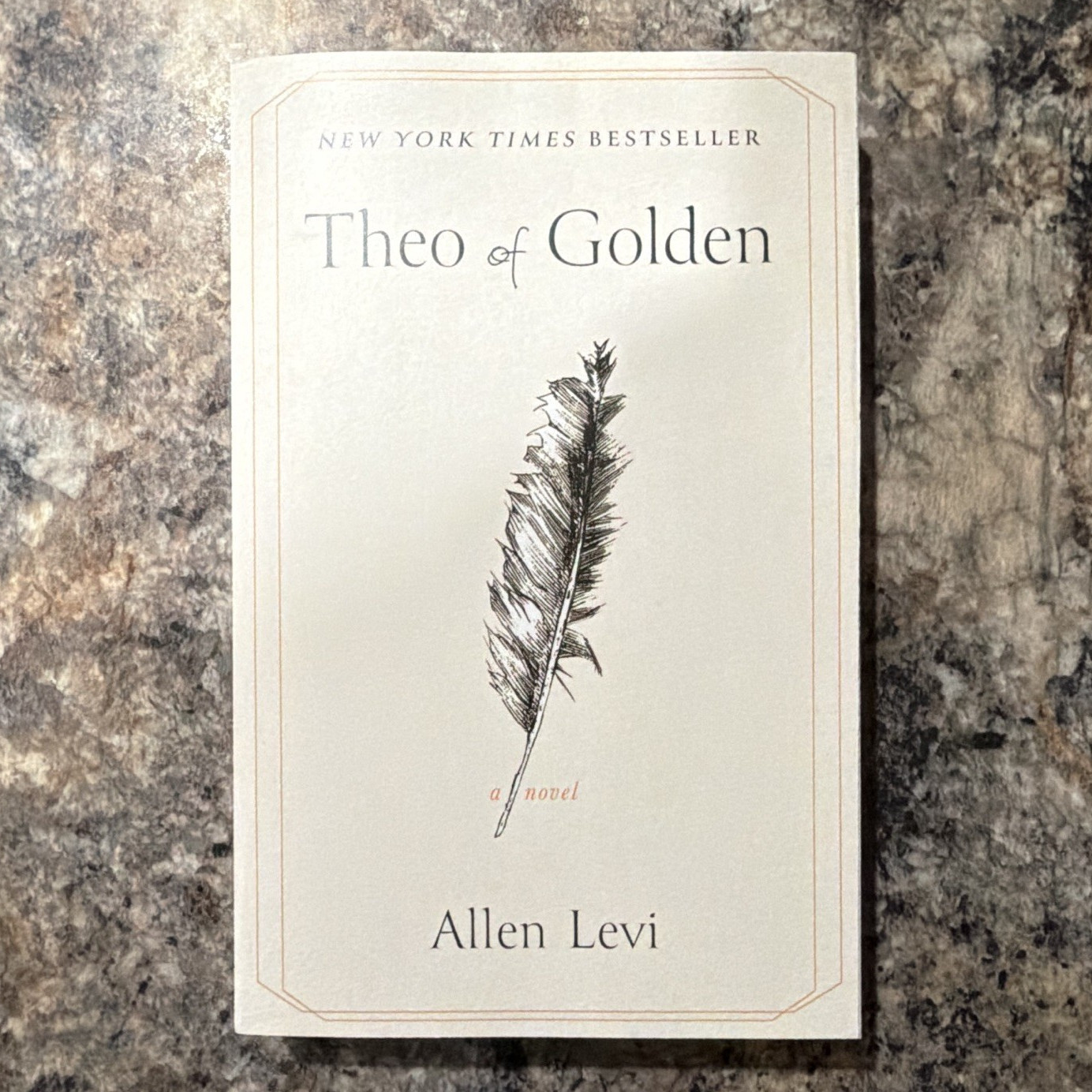 Theo of Golden by Allen Levi Paperback Novel Atria Books English Generosity