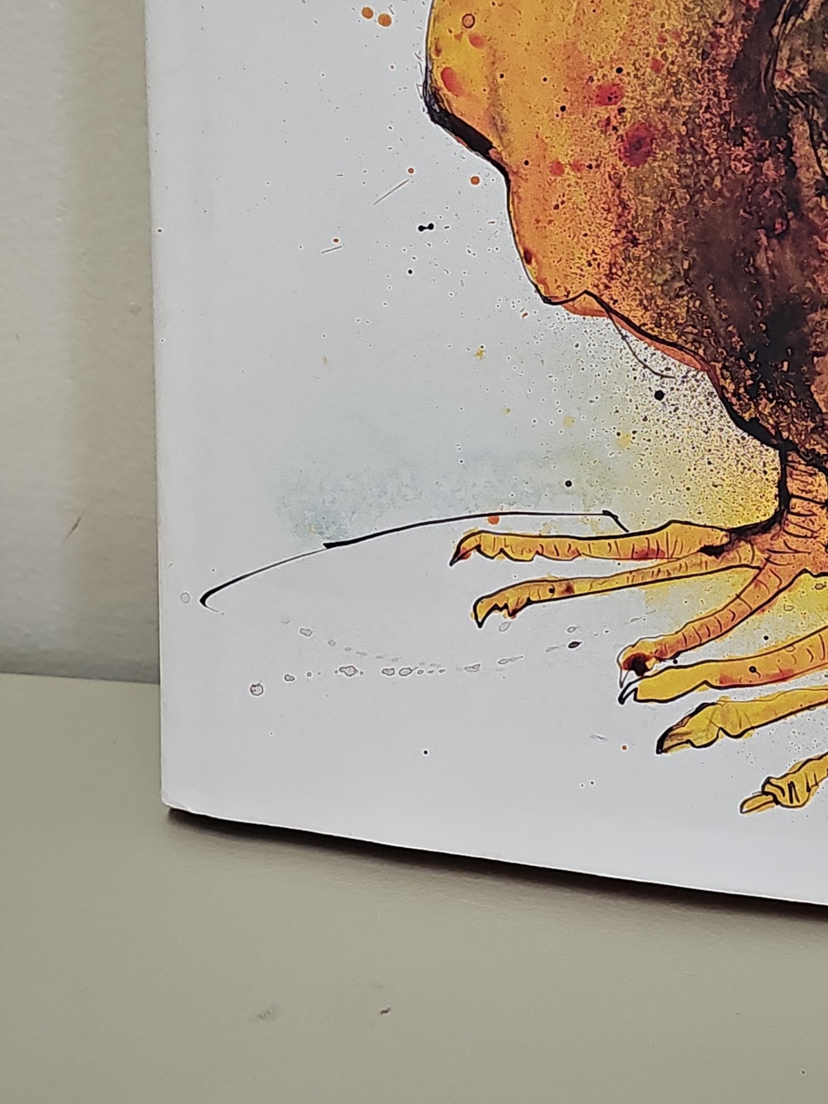 EXTINCT BOIDS Birds Ralph Steadman & Ceri Levy 2012 Hardcover Dustjacket Dodo
