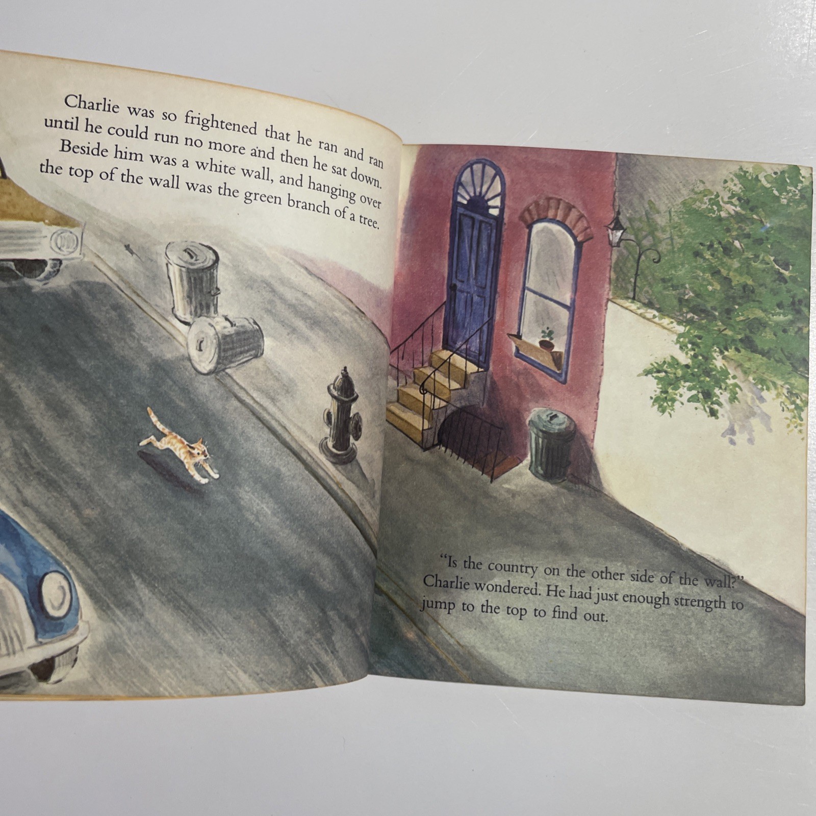 Charlie Little Golden Book 1973, #406 Hardcover