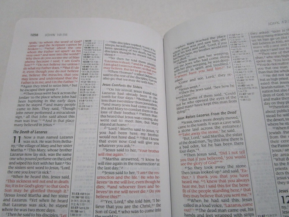 NIV 1984 Compact Thinline Reference Bible *6.3pt* Tan/Black LS *NEW!!