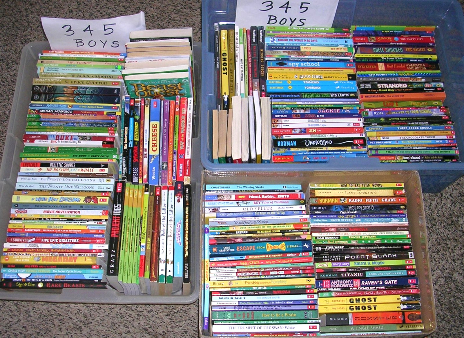 Random Lot 20 BOYS Reading Level 3rd 4th 5th Grade Chapter Books FREE SHIP