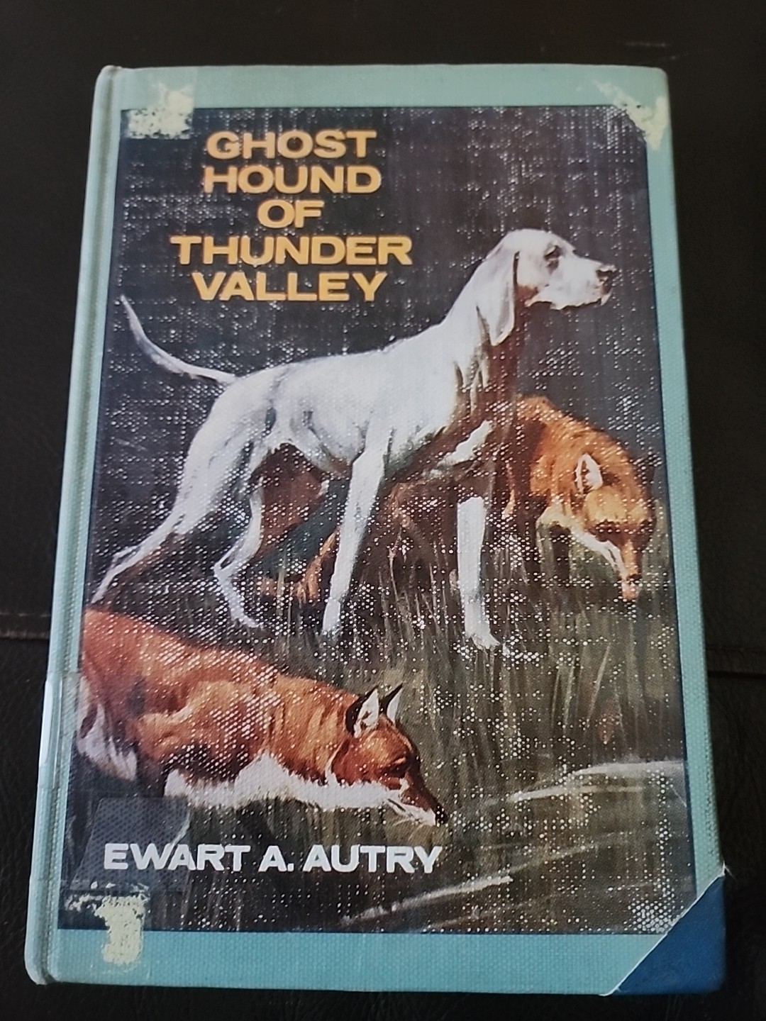 Ghost Hound of Thunder Valley by Ewart A. Autry (1965, hardcover) Rare childrens