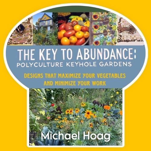 Michael Hoag The Key to Abundance (Paperback)