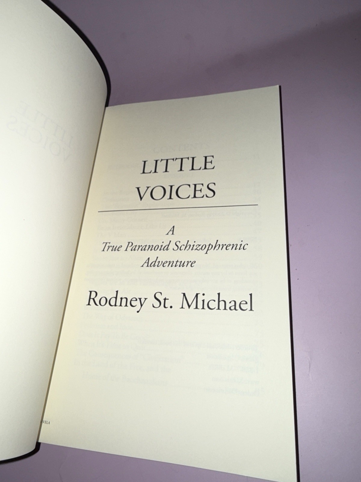 Little Voices: A True Paranoid Schizophrenic Adventure by Rodney St Michael