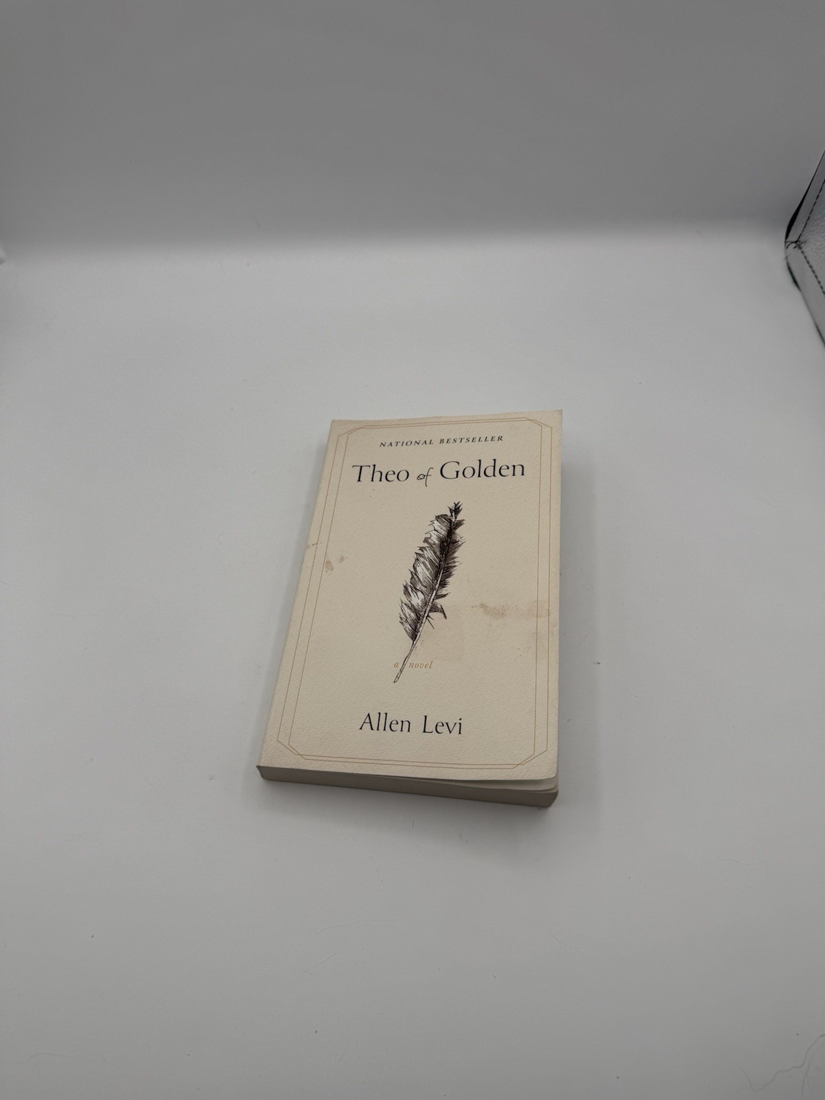 Theo of Golden : A Novel by Allen Levi (Paperback, English, Literary Fiction)