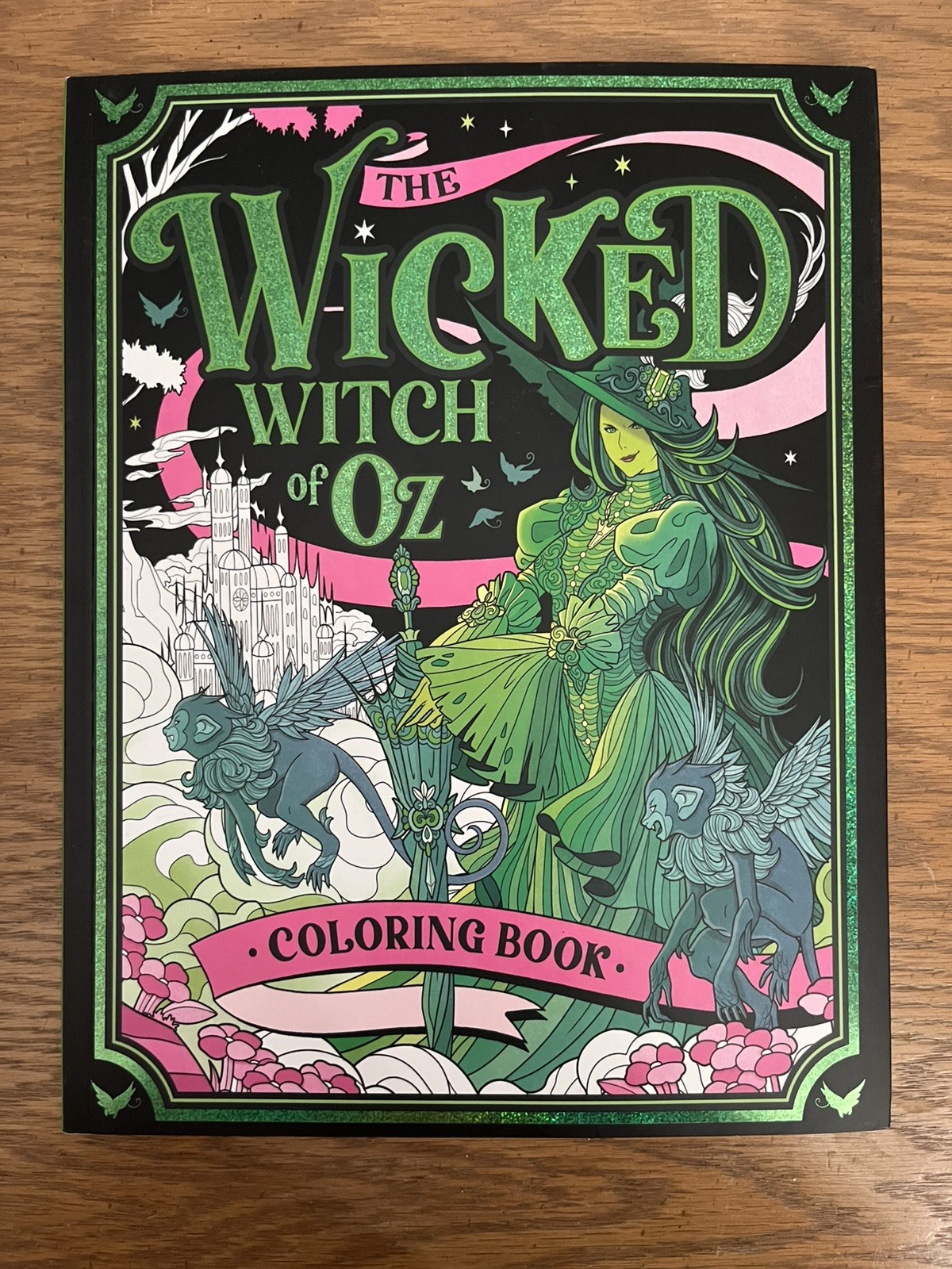 The Wicked Witch of Oz Adult Coloring Book 46 Pages NEW RELEASE