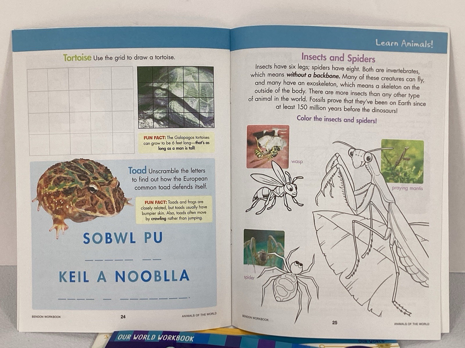 Our Amazing World & Math Learning Workbooks 32 Pages Grades 2-3 Lot Educational