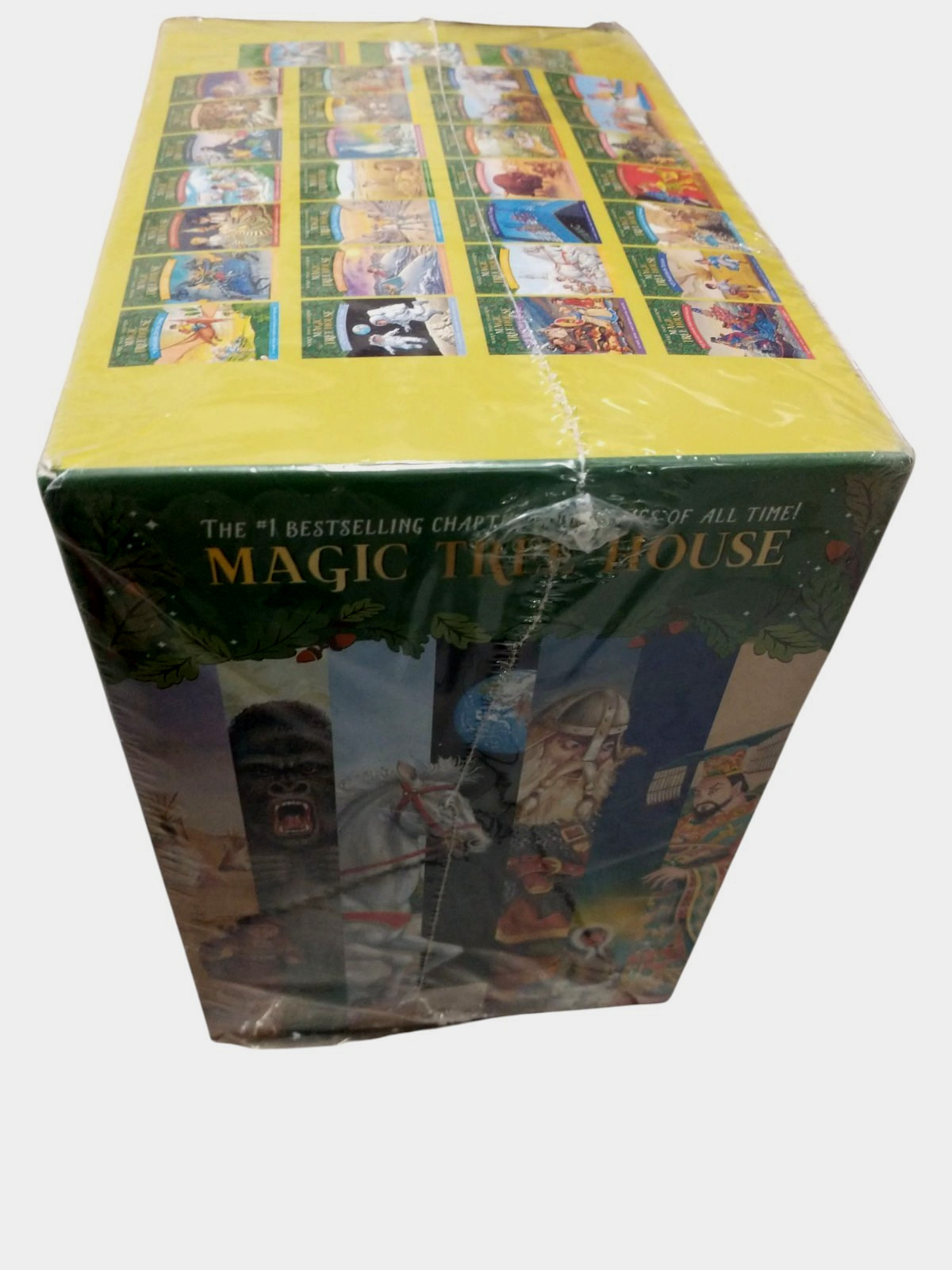 A Library of Magic Tree House Books 1-31 Boxed Set Mary Pope Osborne – Paperback